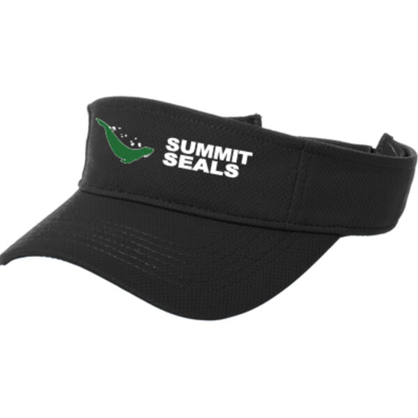 Summit Seals Visor Thumbnail